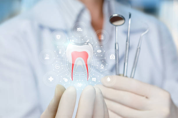 Best Traditional Braces  in Waite Park, MN